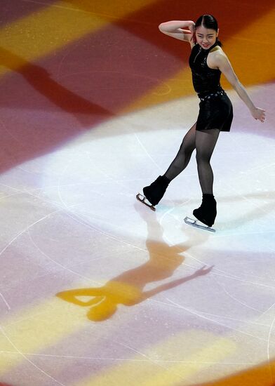 Фигурное катание. Чемпионат мира. Показательные выступления