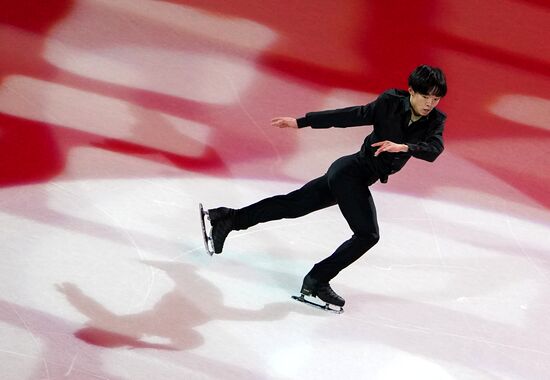 Фигурное катание. Чемпионат мира. Показательные выступления