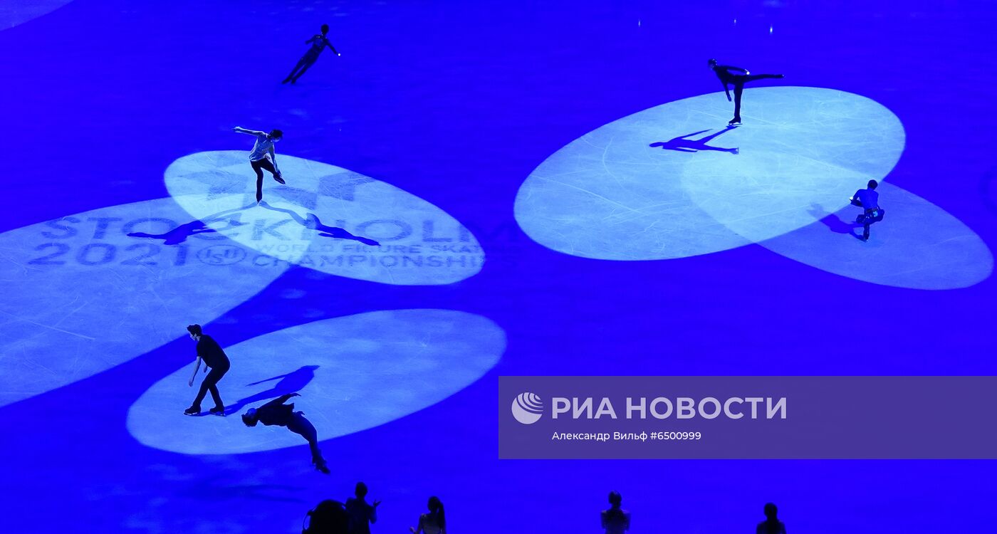 Фигурное катание. Чемпионат мира. Показательные выступления