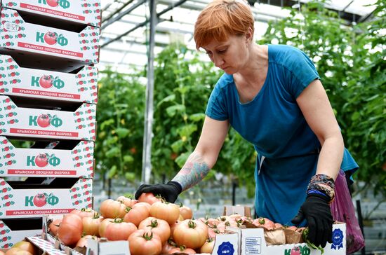Выращивание овощей в теплицах в Крыму