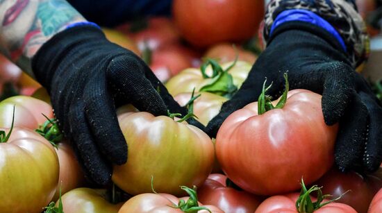 Выращивание овощей в теплицах в Крыму