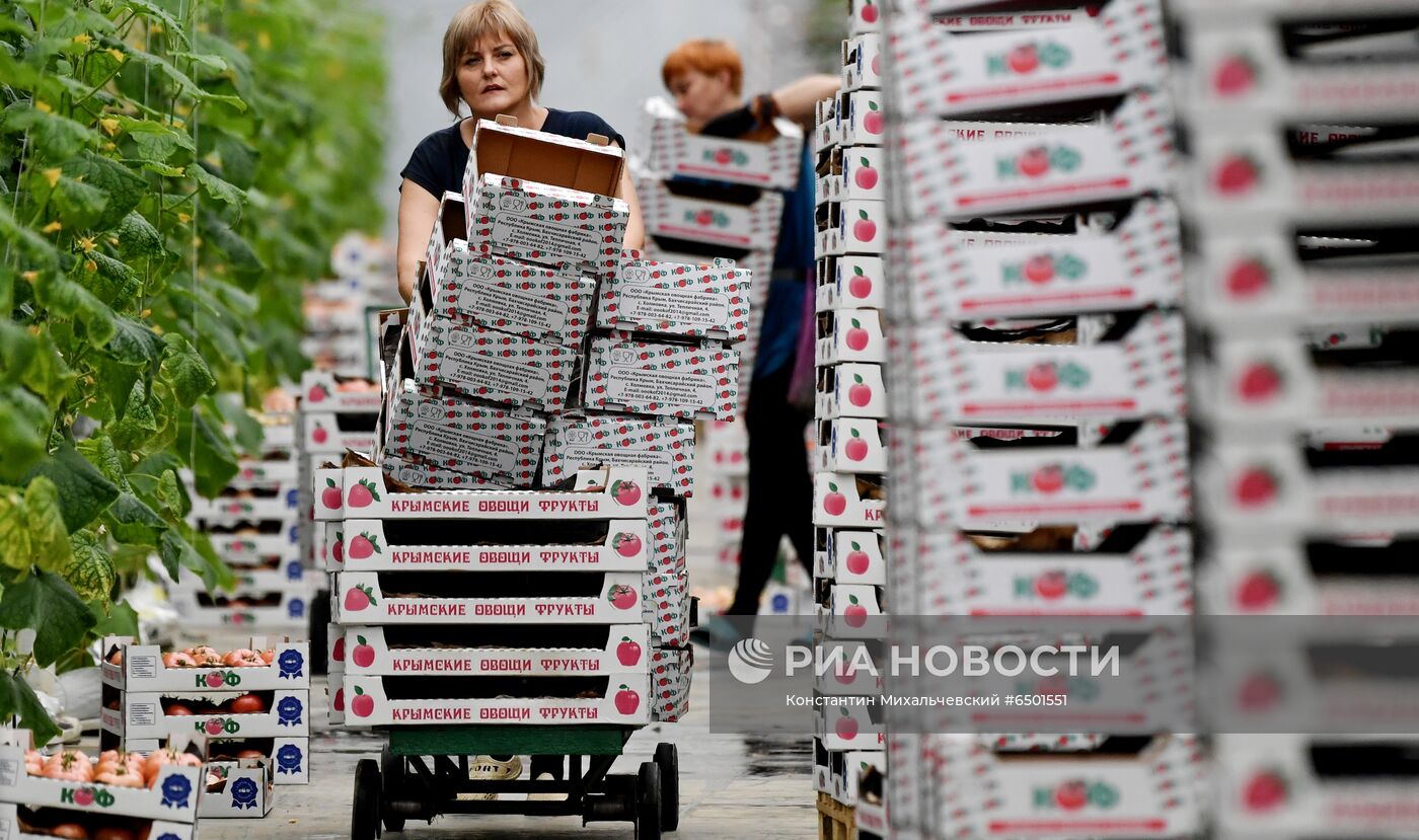 Выращивание овощей в теплицах в Крыму