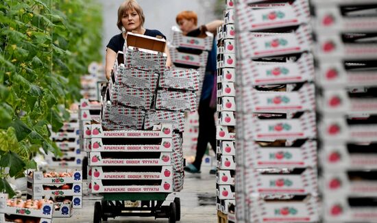 Выращивание овощей в теплицах в Крыму