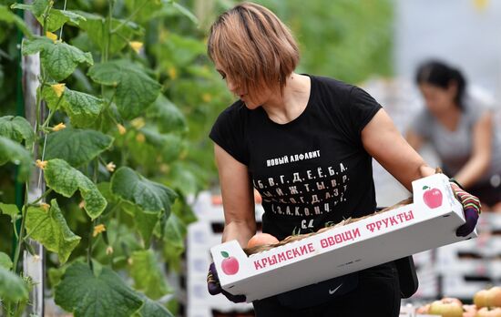 Выращивание овощей в теплицах в Крыму