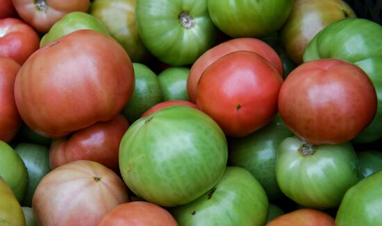 Выращивание овощей в теплицах в Крыму