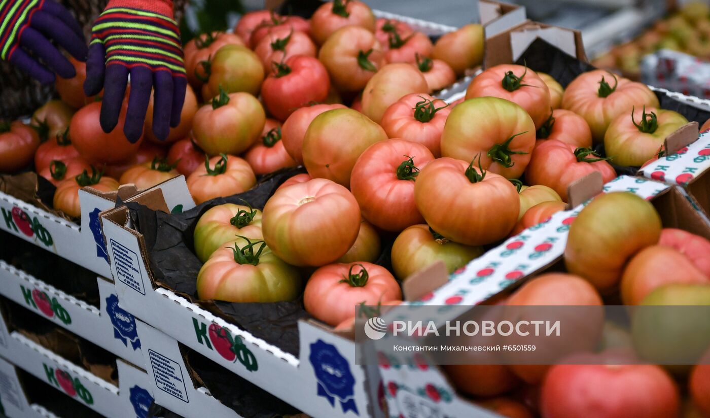 Выращивание овощей в теплицах в Крыму