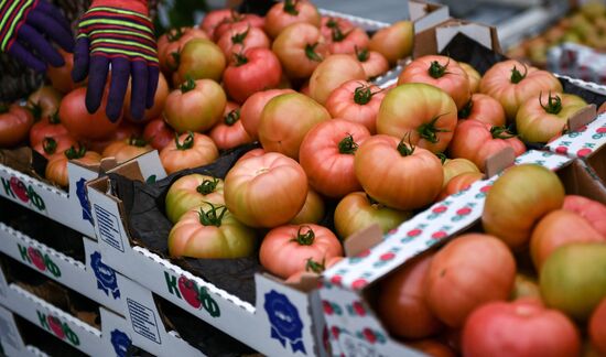 Выращивание овощей в теплицах в Крыму