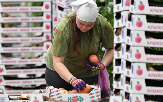 Выращивание овощей в теплицах в Крыму