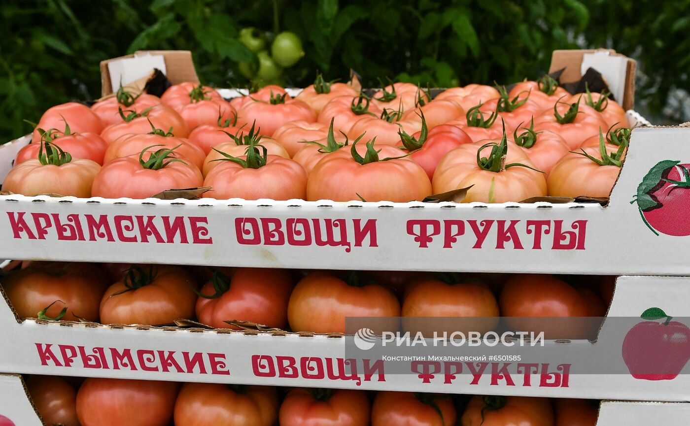 Выращивание овощей в теплицах в Крыму