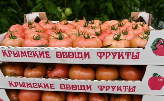 Выращивание овощей в теплицах в Крыму