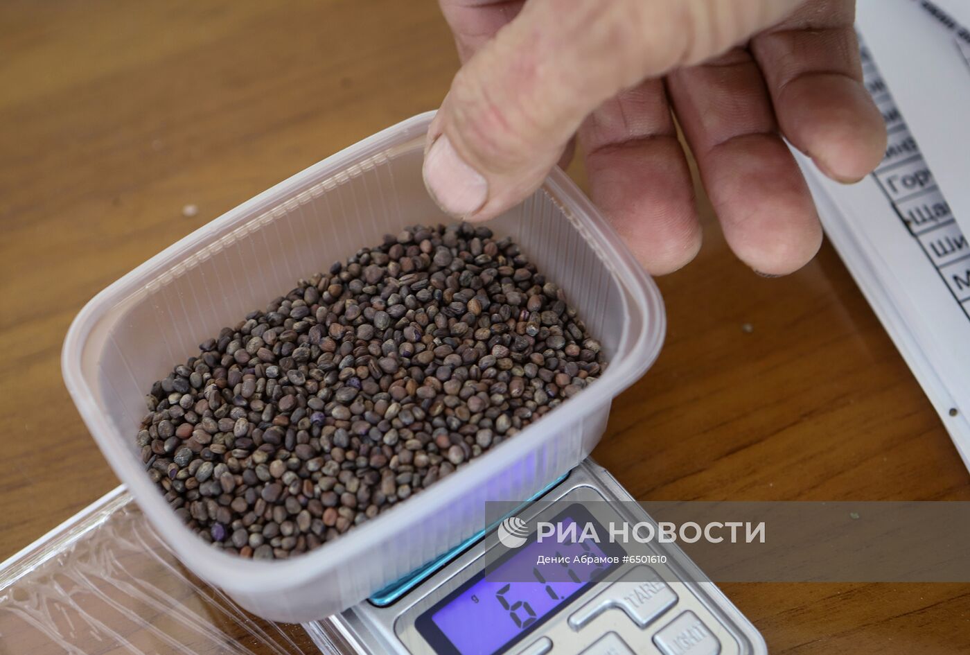 Выращивание микрозелени на микроферме в Пятигорске