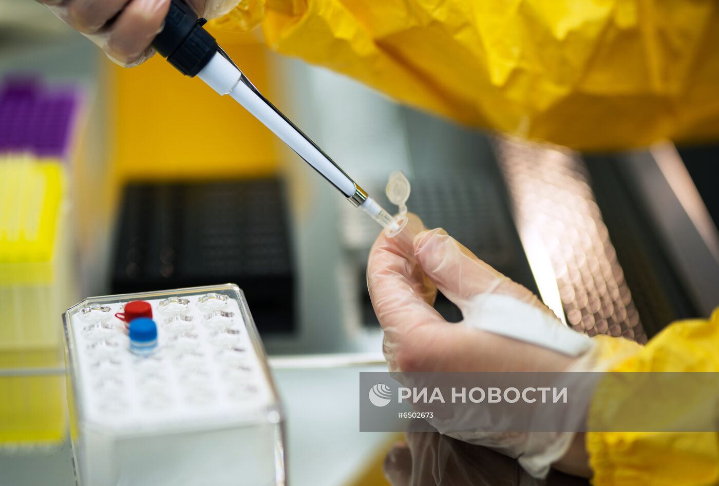 В России зарегистрирована первая в мире вакцина против COVID-19 для животных