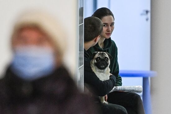 Чипирование домашних животных в ветклинике