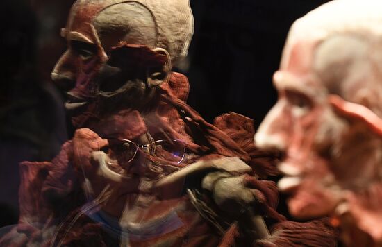 В. Жириновский посетил выставку Body Worlds на ВДНХ