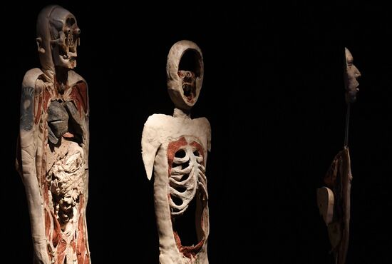 В. Жириновский посетил выставку Body Worlds на ВДНХ