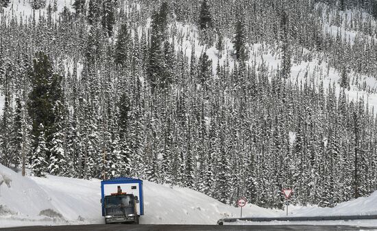 Регионы России. Красноярский край