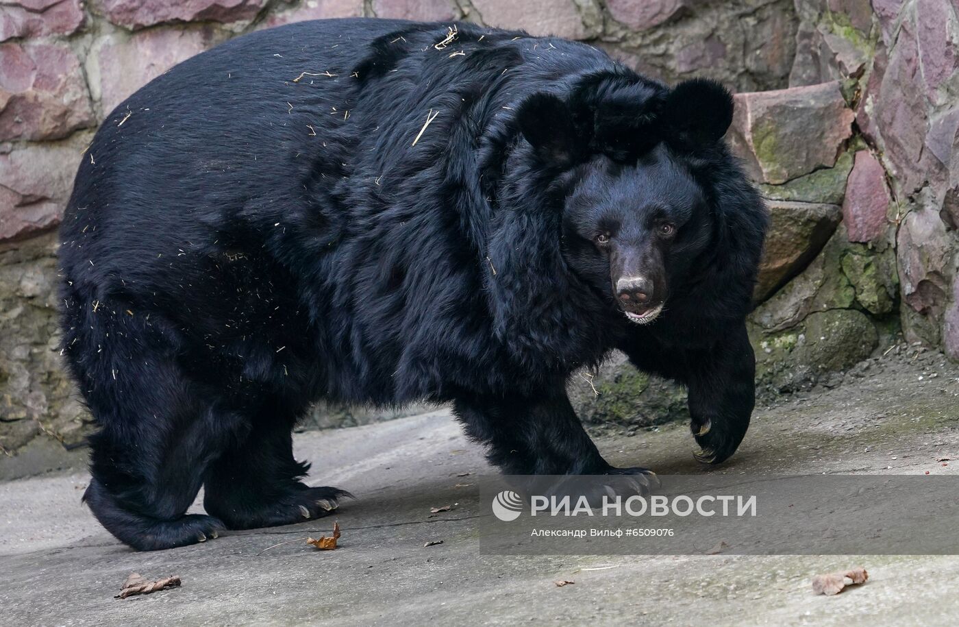 В Московском зоопарке вышли из зимней спячки животные