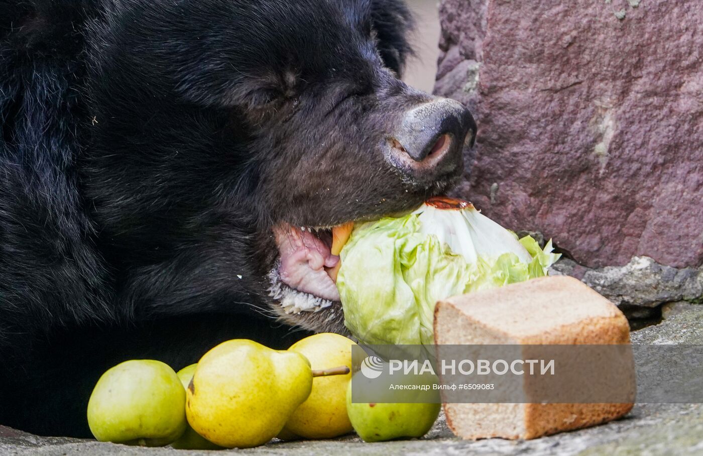 В Московском зоопарке вышли из зимней спячки животные