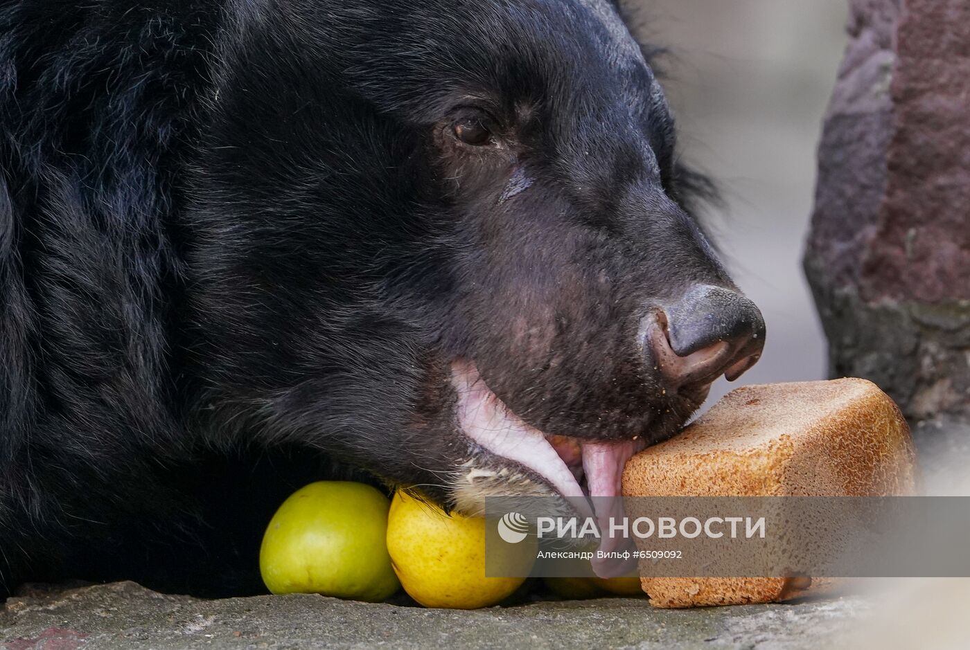 В Московском зоопарке вышли из зимней спячки животные
