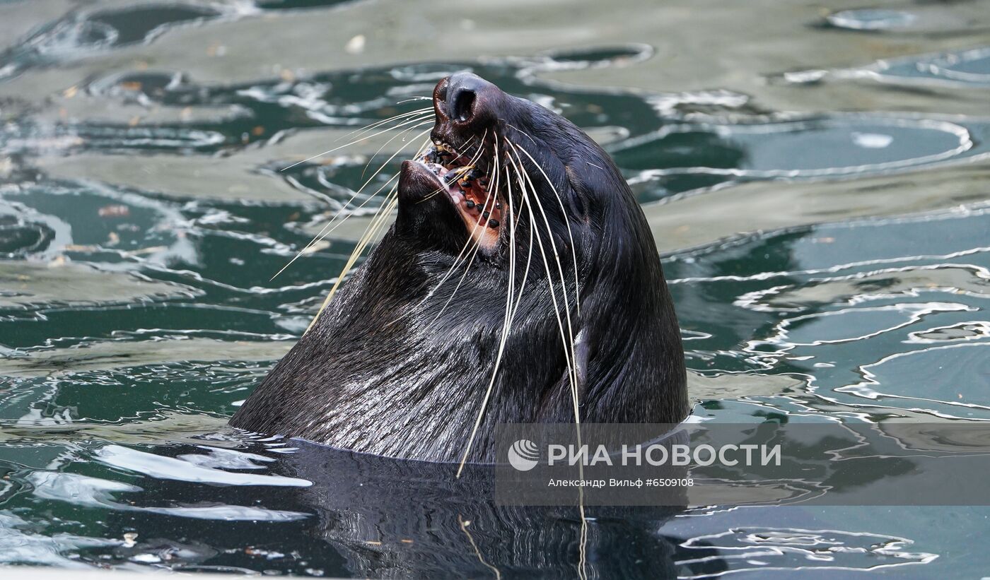 В Московском зоопарке вышли из зимней спячки животные