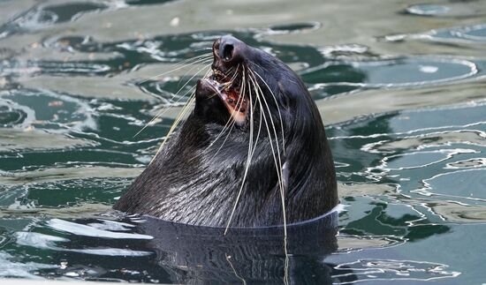 В Московском зоопарке вышли из зимней спячки животные
