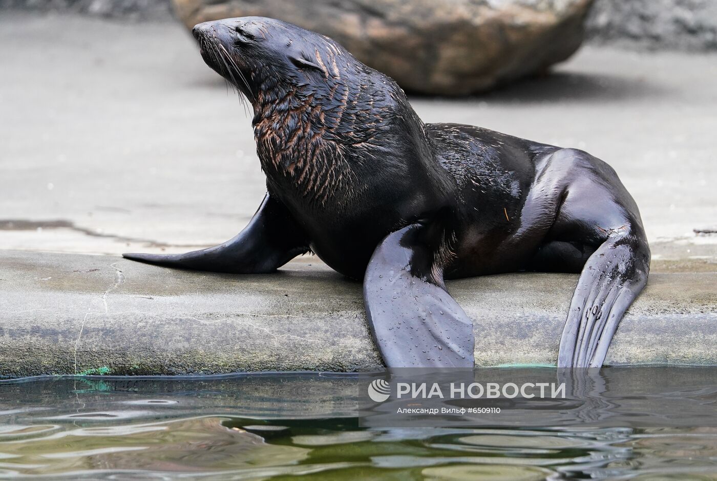 В Московском зоопарке вышли из зимней спячки животные