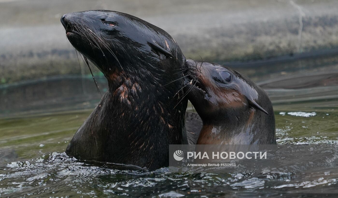В Московском зоопарке вышли из зимней спячки животные