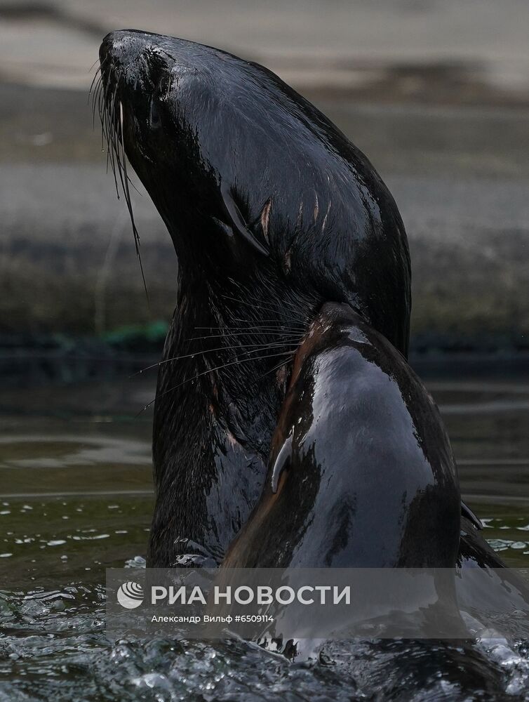 В Московском зоопарке вышли из зимней спячки животные