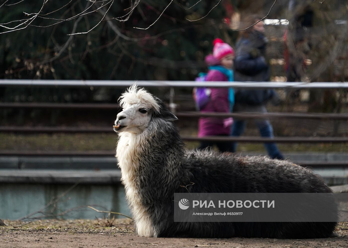 В Московском зоопарке вышли из зимней спячки животные