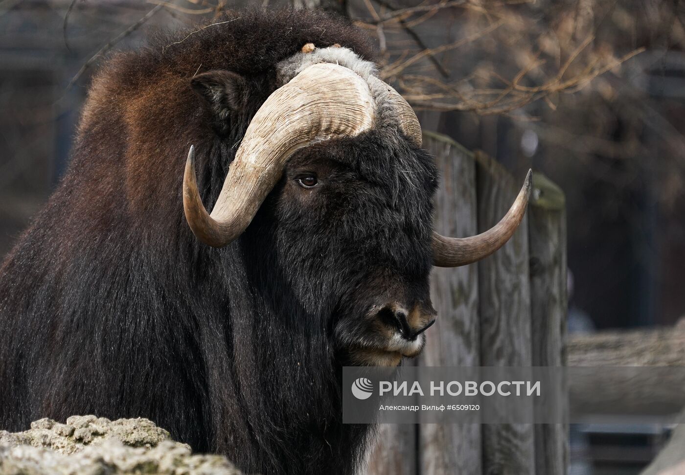 В Московском зоопарке вышли из зимней спячки животные