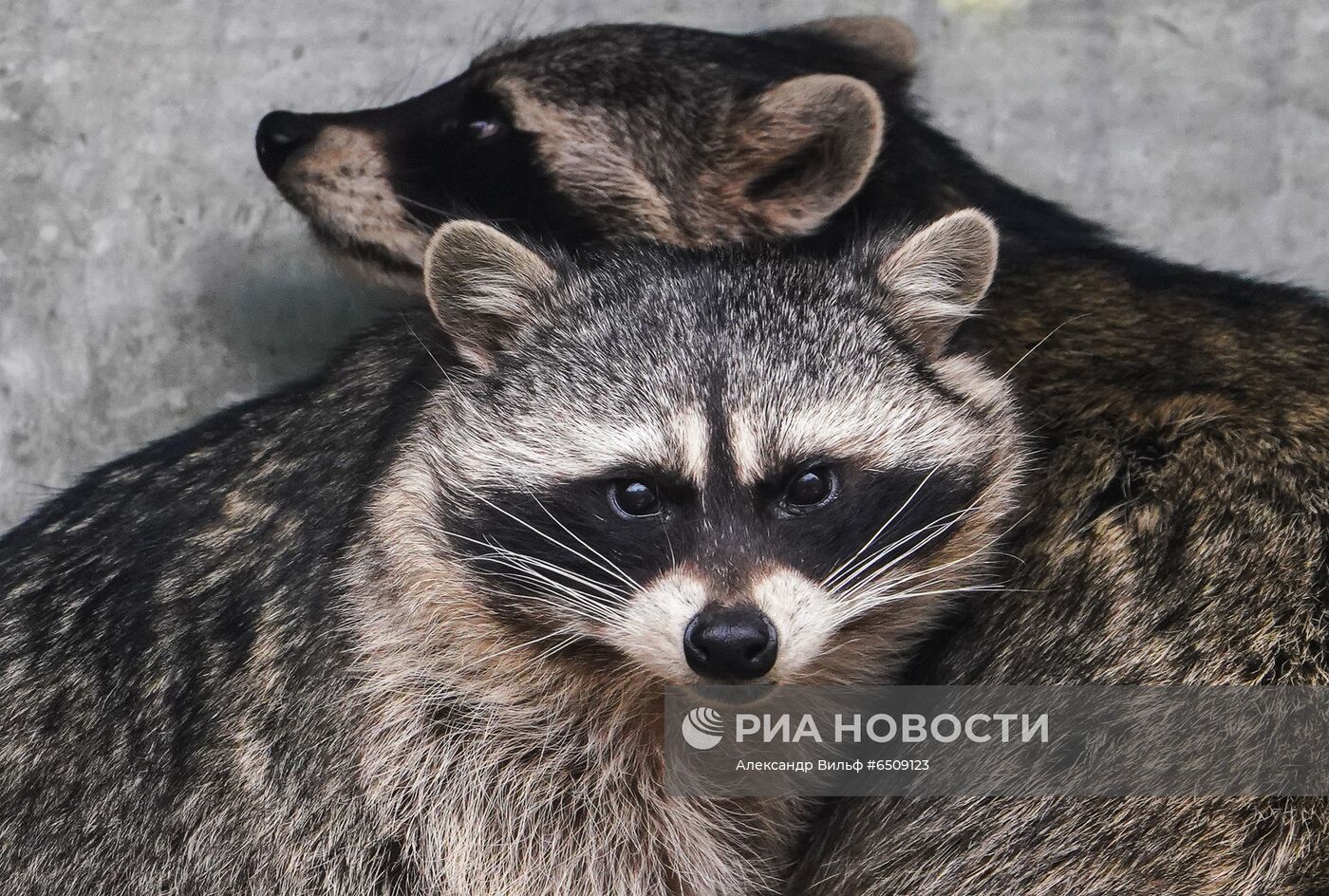 ФОТО МЕСЯЦА