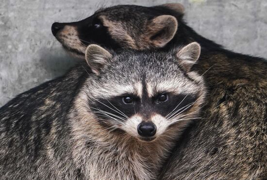 ФОТО МЕСЯЦА