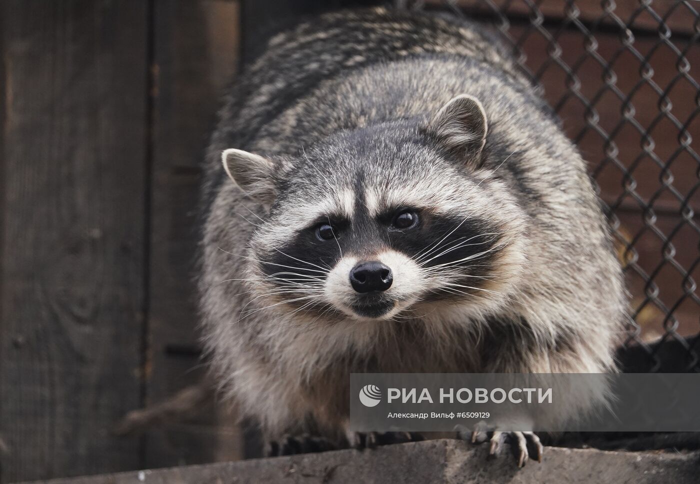 В Московском зоопарке вышли из зимней спячки животные