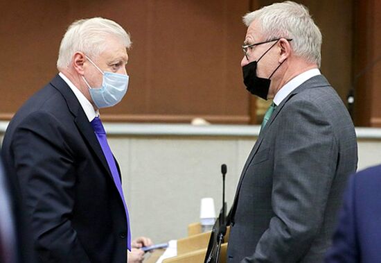 Пленарное заседание Госдумы РФ 