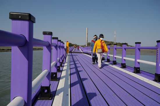 Фиолетовые острова в Южной Корее