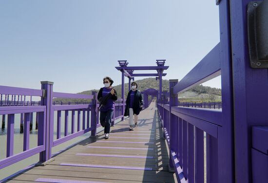 Фиолетовые острова в Южной Корее