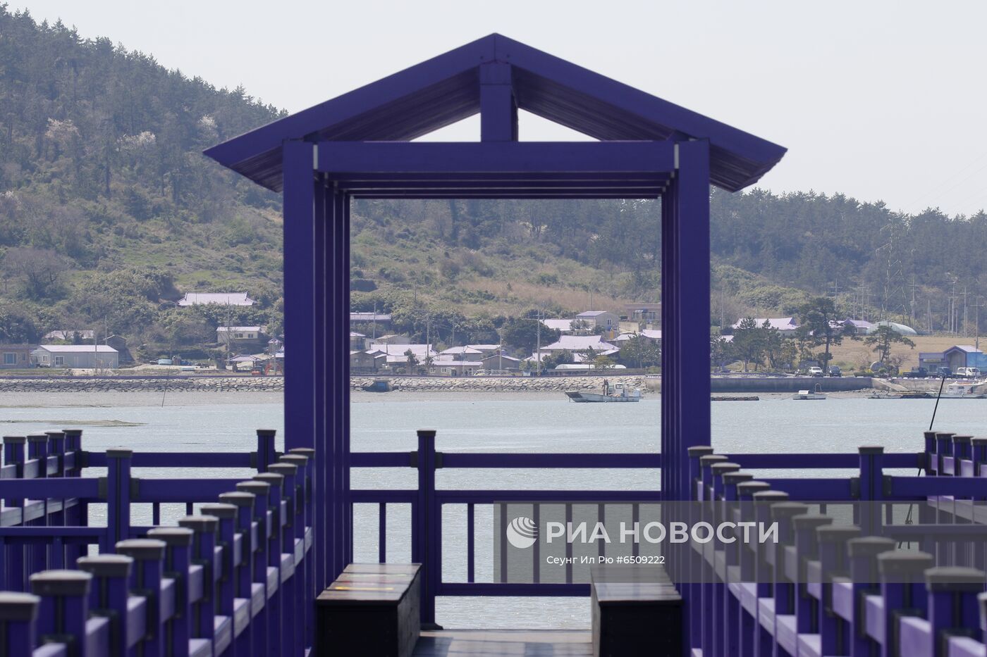 "Фиолетовые" острова в Южной Корее