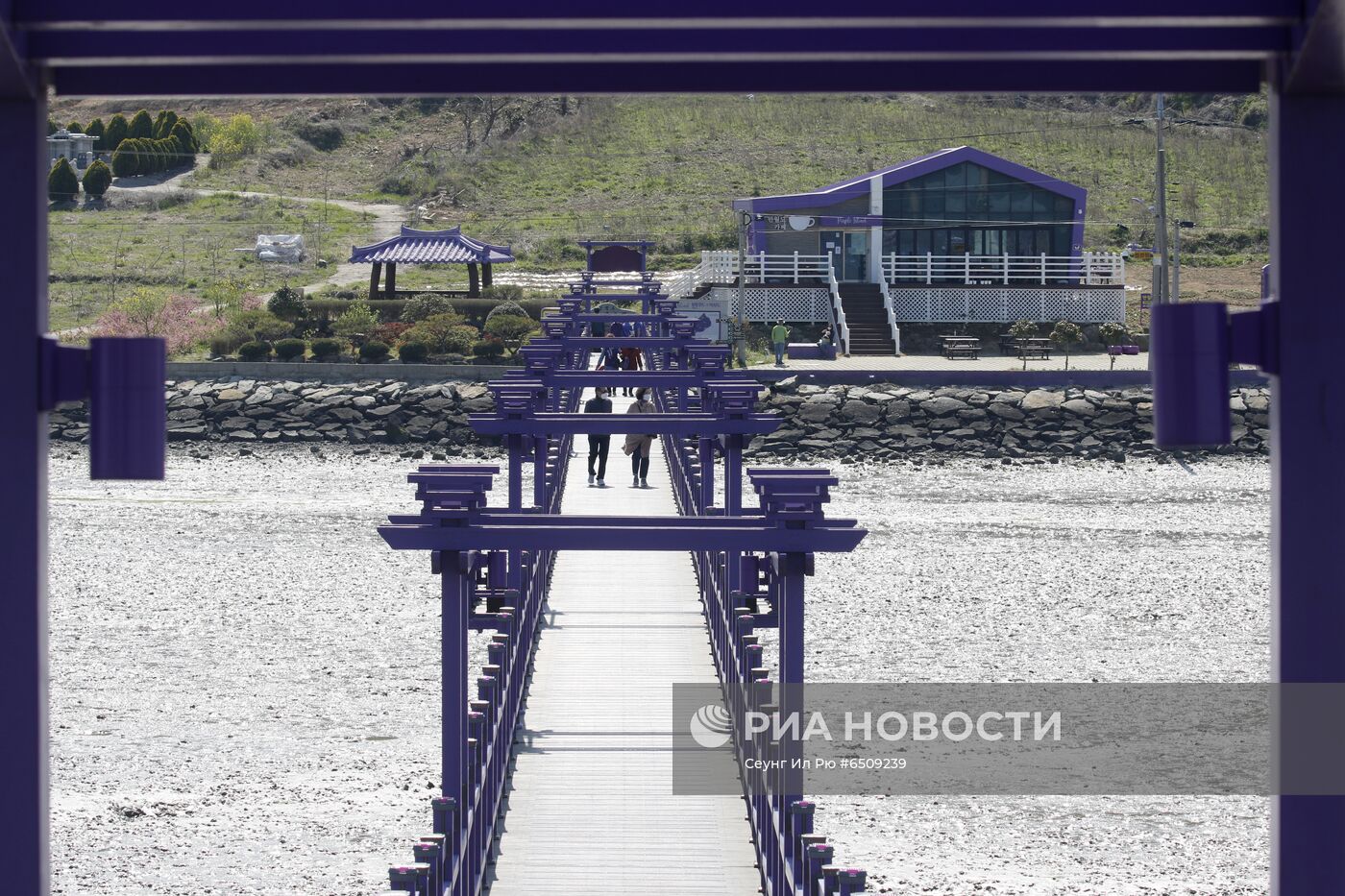 "Фиолетовые" острова в Южной Корее