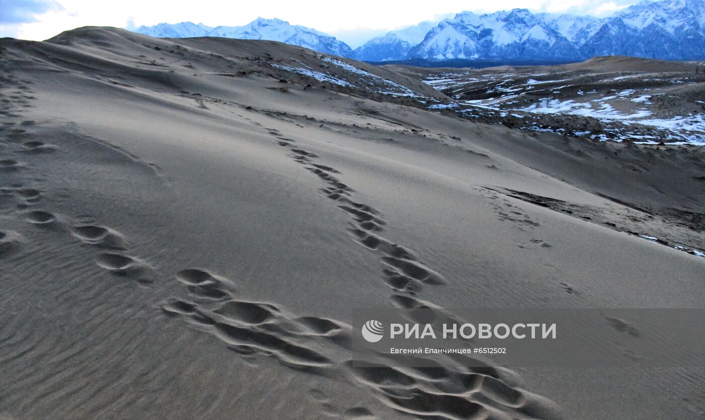 Урочище Чарские пески в Забайкалье