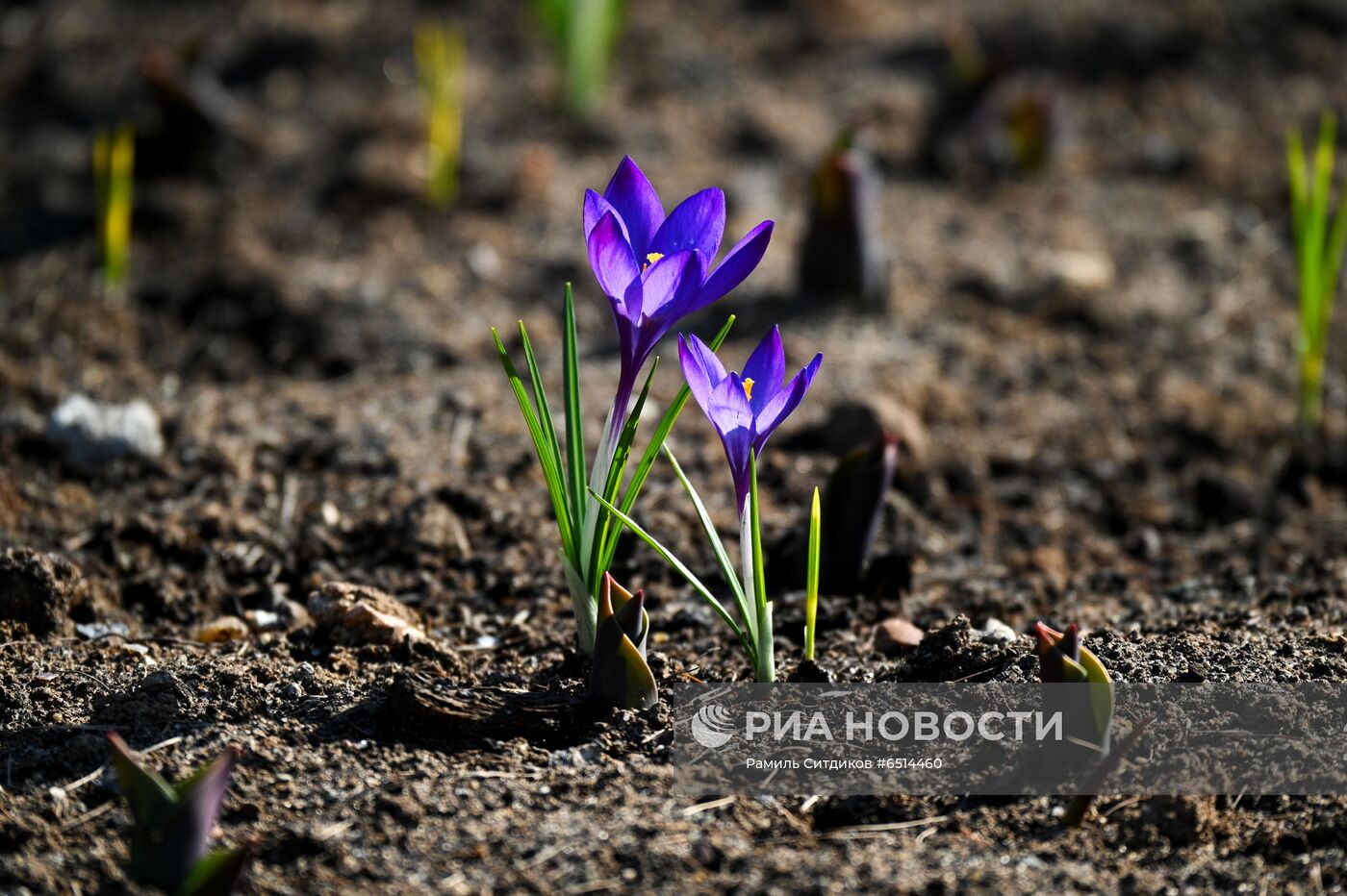 Теплая погода в Москве 