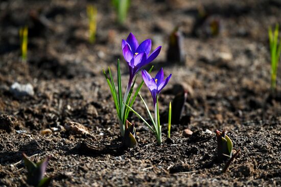 Теплая погода в Москве 