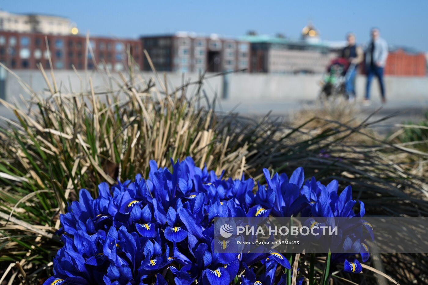 Теплая погода в Москве 