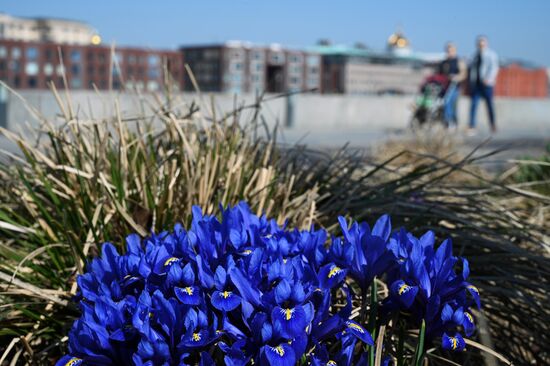Теплая погода в Москве 