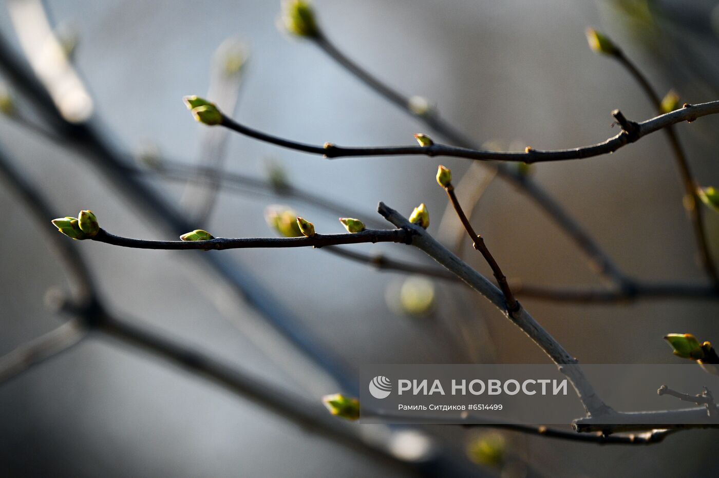 Теплая погода в Москве 