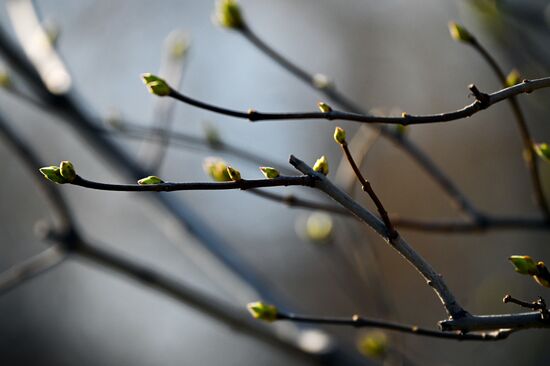 Теплая погода в Москве 