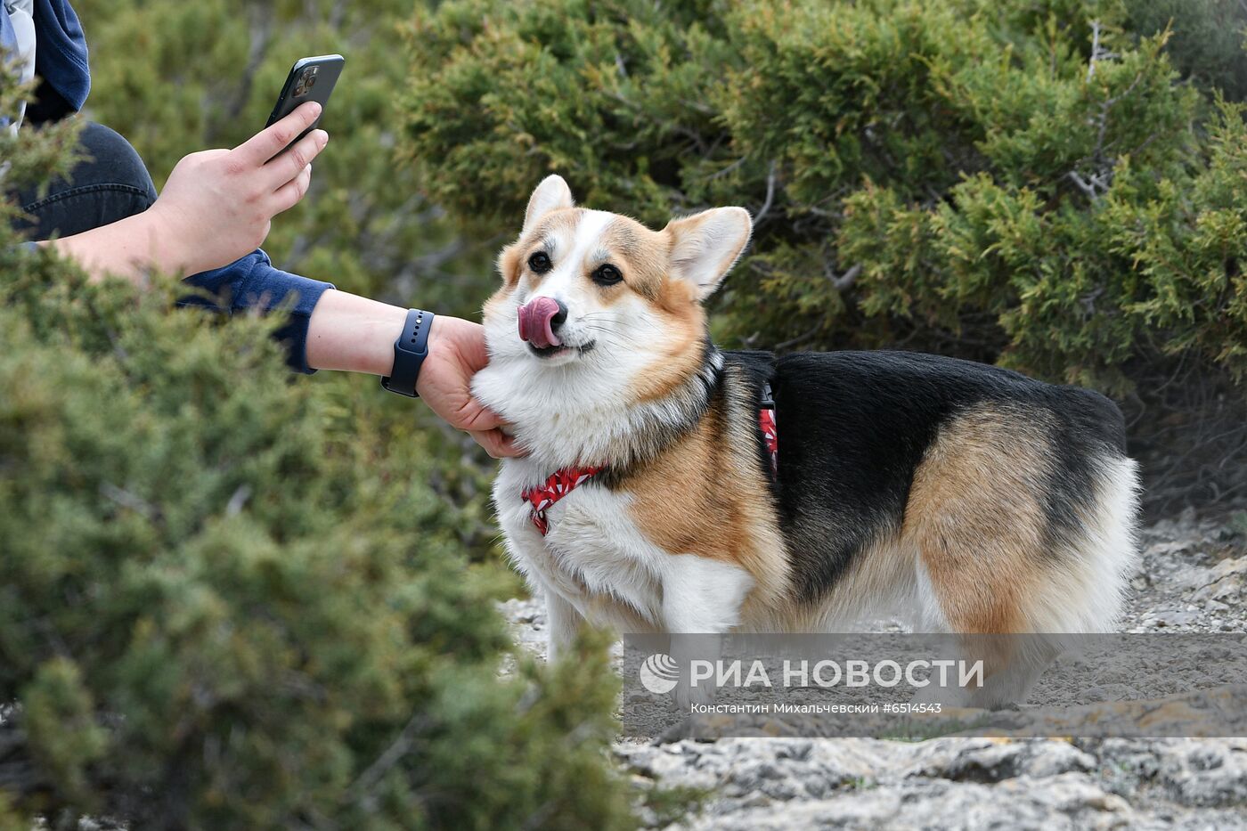 Мыс Капчик в Крыму