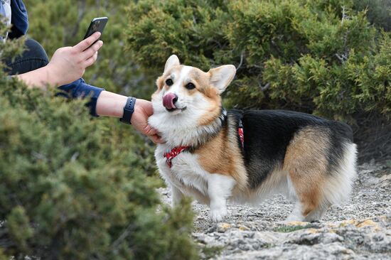 Мыс Капчик в Крыму