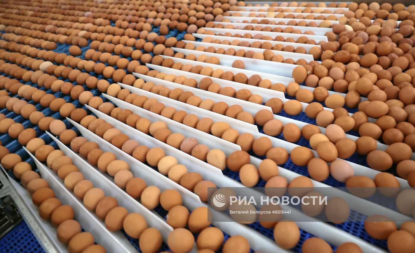 Тульская птицефабрика