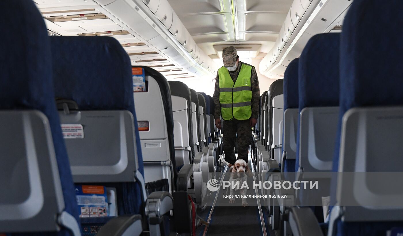 Работа аэропорта Домодедово 