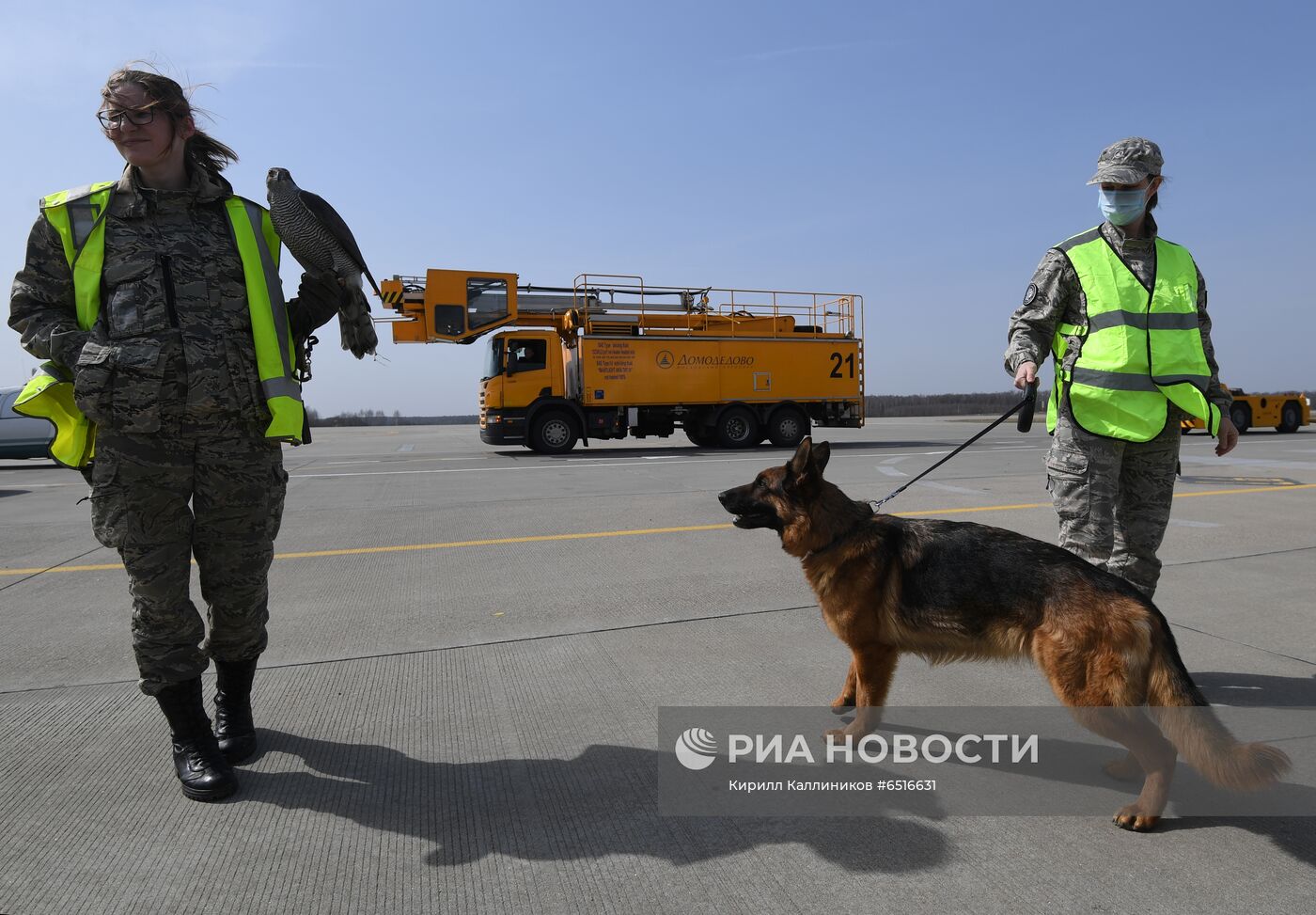 Работа аэропорта Домодедово